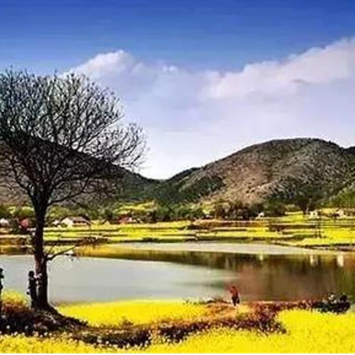 傲慢与偏见|贫穷贵公主-风流书呆（单播-佚名-辛夷紫苏