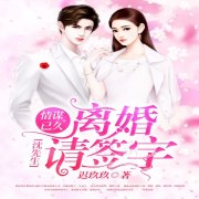 情谋已久:沈先生离婚请签字--雨念肖绒-佚名