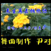 **精品原创舞曲**一只舟  杨美华**来生再去拥抱你**--尹对舞曲制作-佚名