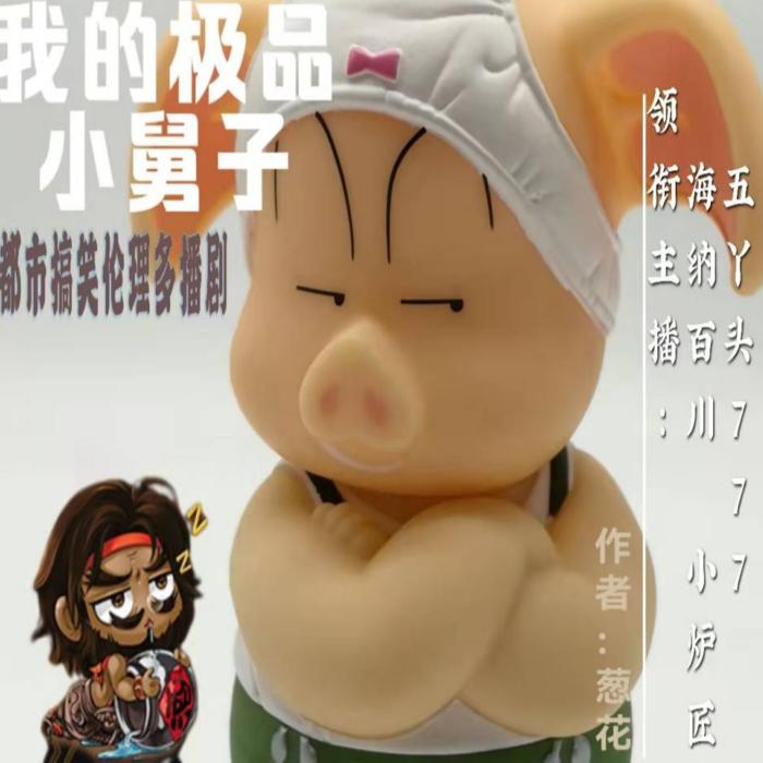 我的极品小舅子/现代都市搞笑家庭伦理多播剧--7788有声杂货铺-