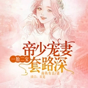 一胎二宝 ：帝少宠妻套路深-南鱼有音-逐浪小说网