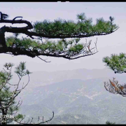 心宁眼亮丨寻找心灵的每一片净土--道仙有声-佚名