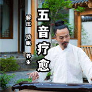 五音疗愈\音乐养生--乐公子音疗-佚名