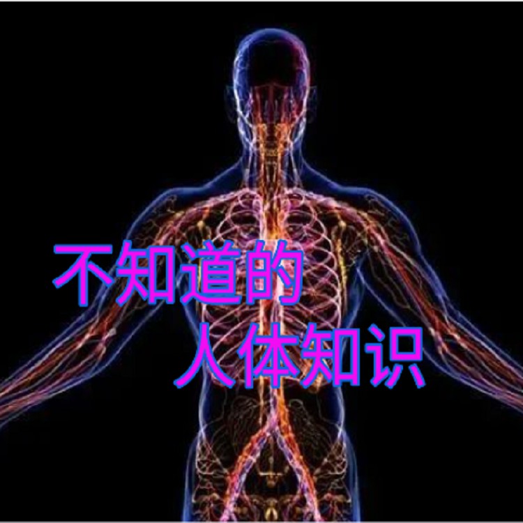 不知道的人体知识--与你有声-佚名