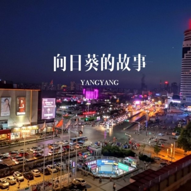 向日葵的故事-主播杨杨-主播杨杨-佚名