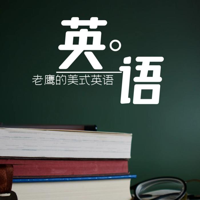老鹰的美式英语--是老鹰啊-佚名