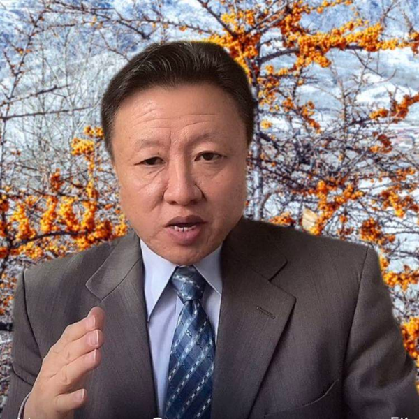 谢医生讲养生