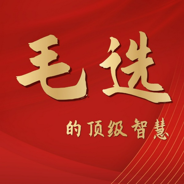 底层逻辑|毛选的顶级智慧|成事宝典|青竹解读