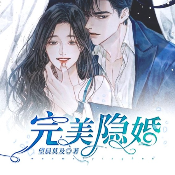 完美隐婚
