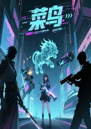 网游之菜鸟很疯狂-小酷听书-小酷说书