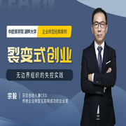 裂变式创业：无边界组织的失控实践-宗毅-一刻talks