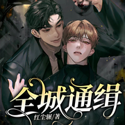 全城通缉-红尘辗-奇文文化
