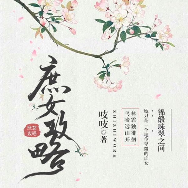 庶女攻略