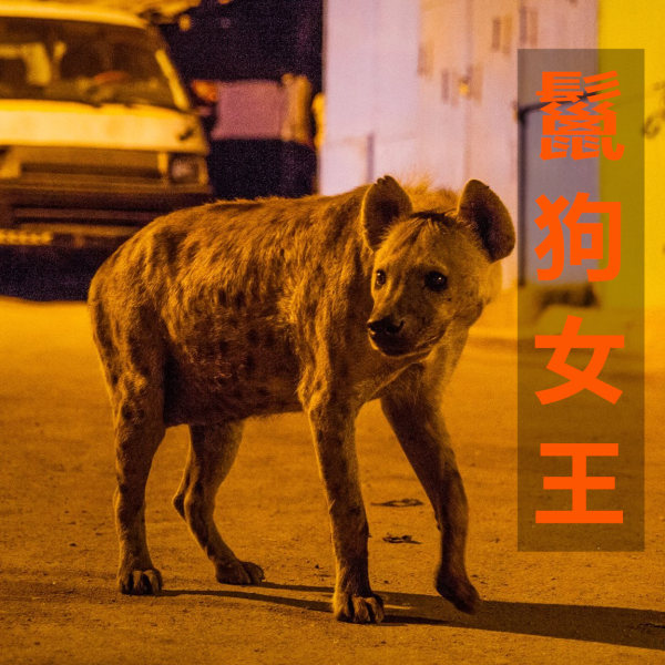 鬣狗女王
