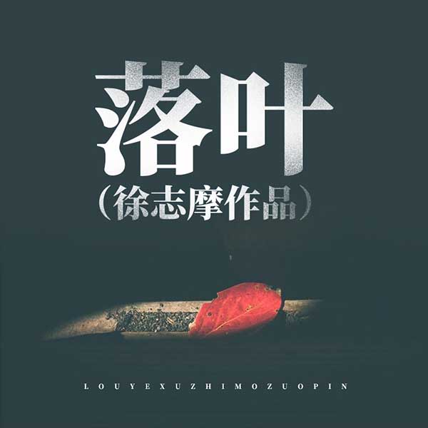 落叶|徐志摩作品