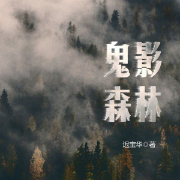 鬼影森林-迟宝华-主播磨铁听书
