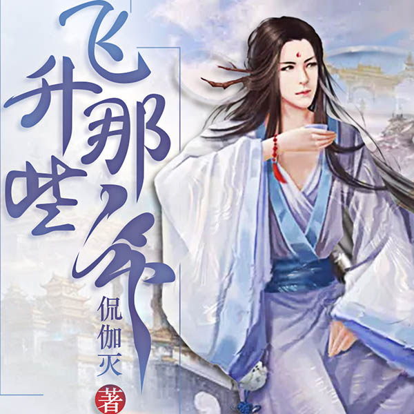 飞升那些年