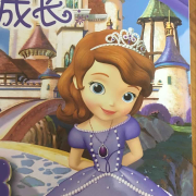 小公主索菲亚-佚名-五月海滩