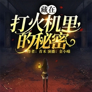 藏在打火机里的秘密|谈情说案|刑侦反转--喜马拉雅