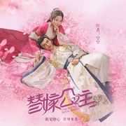 替嫁公主|网剧《替嫁医女》原著