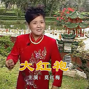 大红袍|河南坠子|莫红梅主演-佚名-东方大剧院