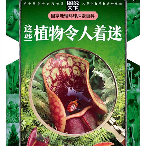 儿童百科全书：这些植物令人着迷