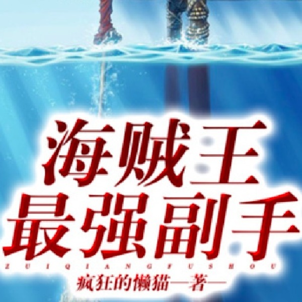 海贼王最强副手