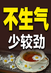 不生气，少较劲-蓝梅-书音有声书