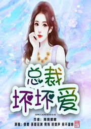 总裁坏坏爱-佚名-晓声点精品剧