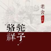 骆驼祥子--岩冬-