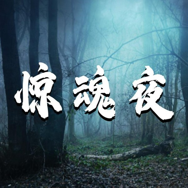 惊魂夜