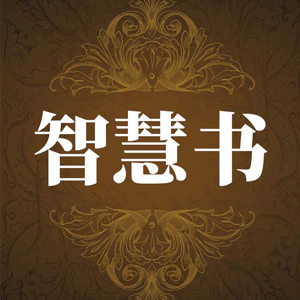 智慧书
