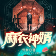 麻衣神婿-骨女-主播酷匠听书