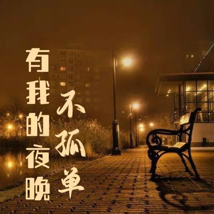 有我的夜晚不孤单--金钰禅静-