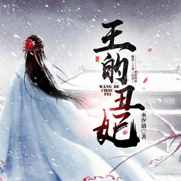 王的丑妃