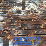 初闻不知曲中意，再闻已是曲中人-经典怀旧歌曲--归去2001-