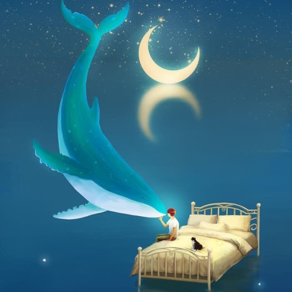 午夜助眠放送|声音的约会
