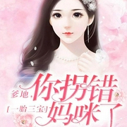 一胎三宝:爹地,你拐错妈咪了