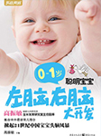 0-1岁聪明宝宝左脑右脑大开发-高振敏-沈小芹