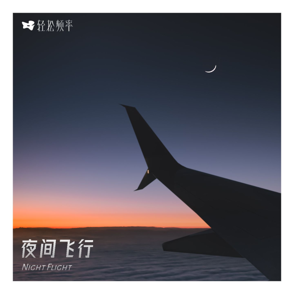 夜间飞行