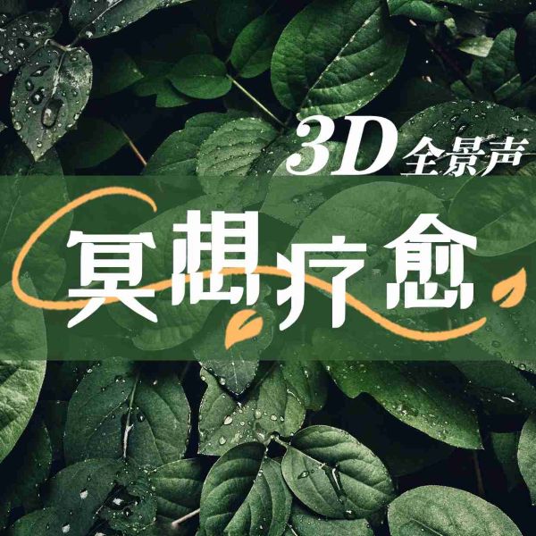 大自然白噪音|每天10分钟,3D沉浸式全景声催眠|冥想疗愈