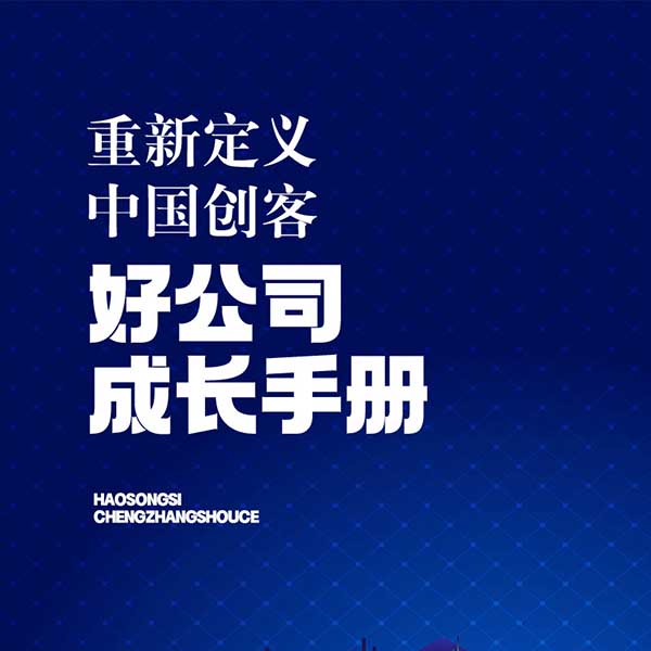 重新定义中国创客：好公司成长手册