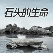 石头的生命-王学江-主播潘多拉魔盒