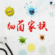 细菌家族-心晴-七个小土豆