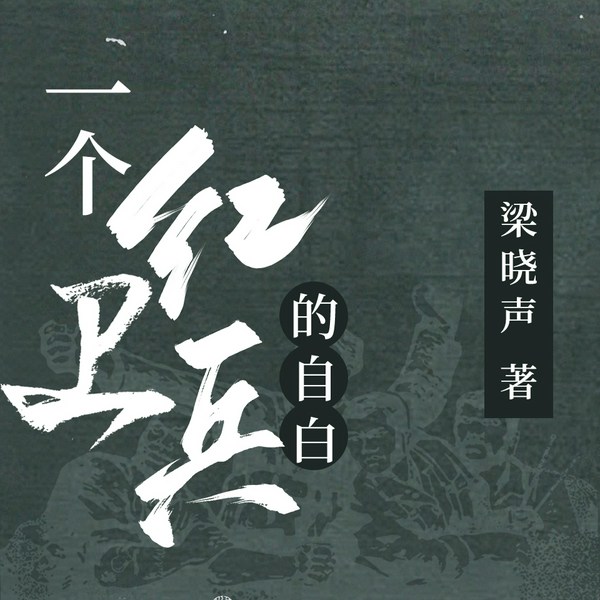 一个红卫兵的自白