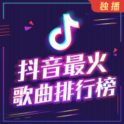 抖音最火歌曲排行榜-DJ彼岸-DJ彼岸_11131127-佚名