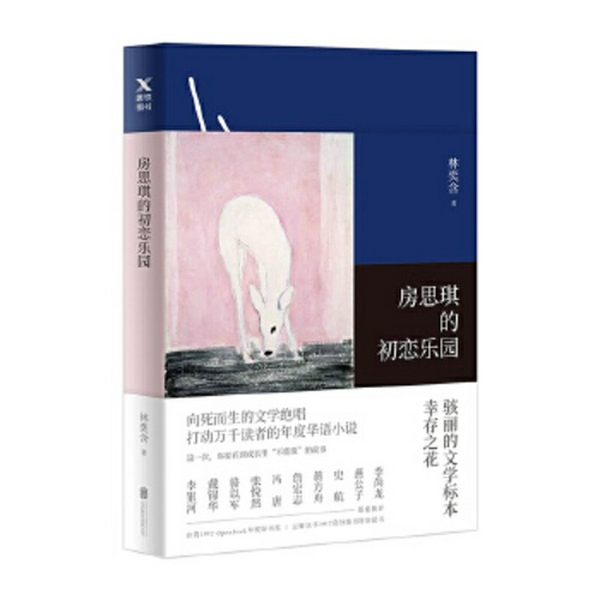 房思琪的初恋乐园|少女的创伤与成长|亚洲女性杰作之一