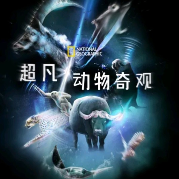 超凡动物奇观睡觉必备