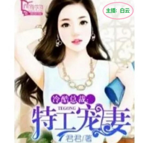 冷酷总裁：特工宠妻