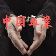 张少佐评书：中国血案|100讲-佚名-张少佐书场